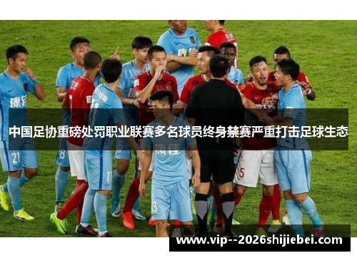 中国足协重磅处罚职业联赛多名球员终身禁赛严重打击足球生态