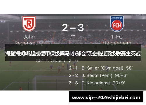 海登海姆崛起成德甲保级黑马 小球会奇迹挑战顶级联赛生死战 海登海姆崛起成德甲保级黑马 小球会奇迹挑战顶级联赛生死战